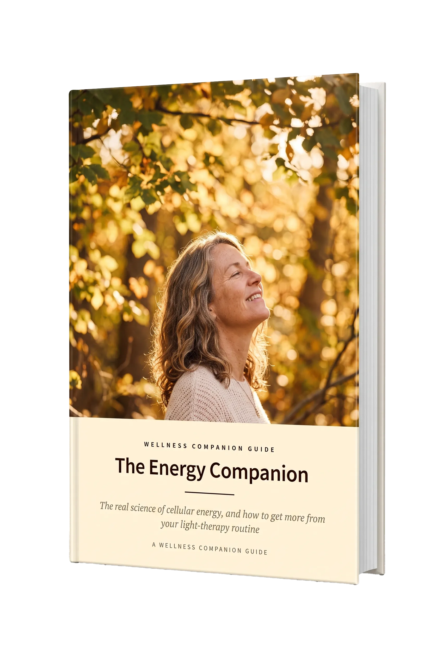 Free Energy Companion bonus